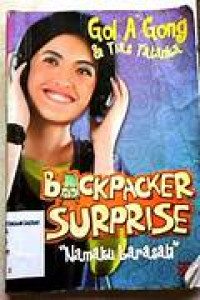 Image of Backpacker Surprise 